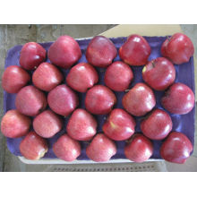 Dealer huniu apple fresh fruit in factory price